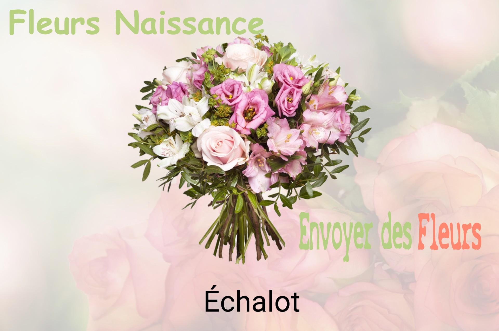 Bouquet de fleurs de naissance livré à Échalot