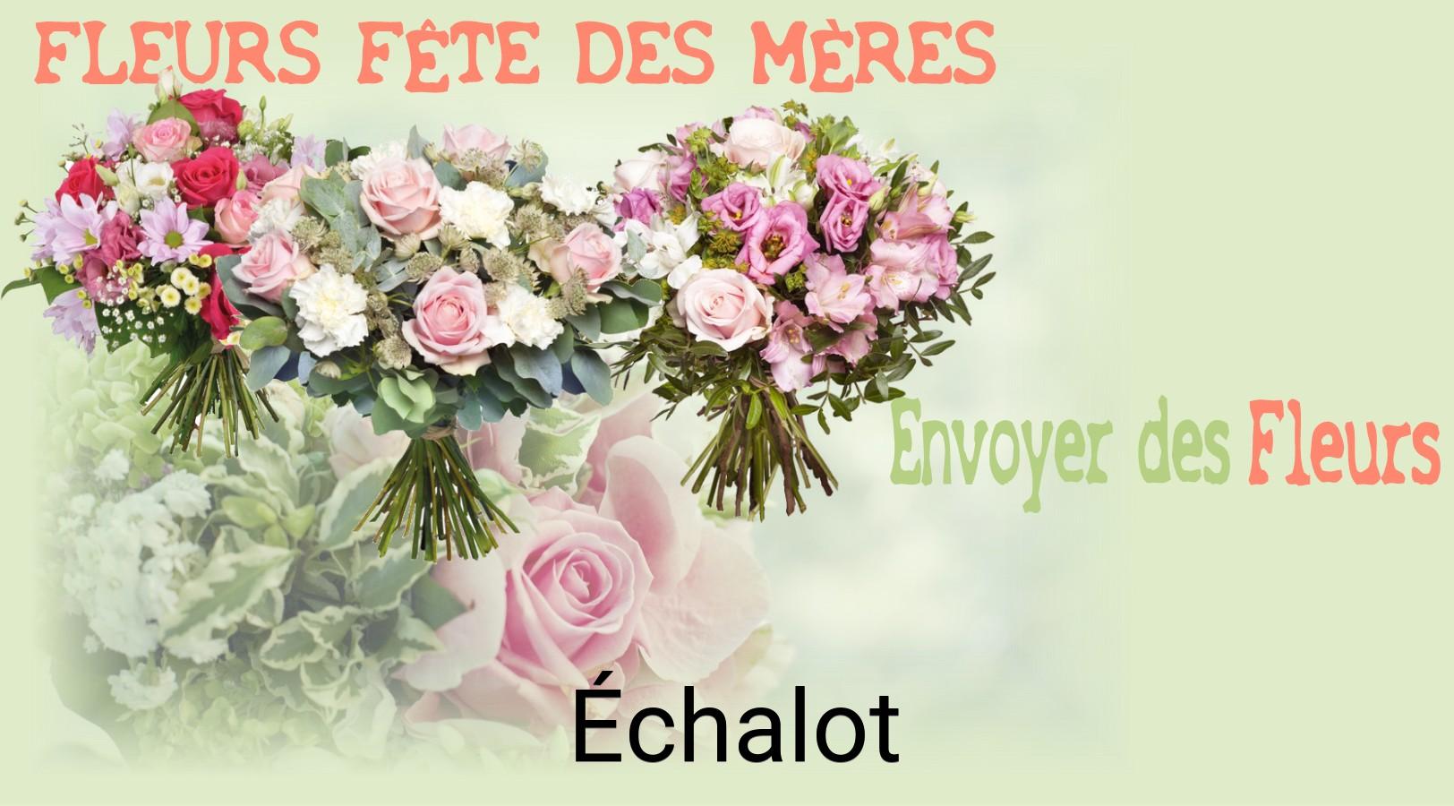 Bouquet de Fête des Mères livré à Échalot